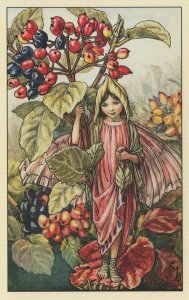 The WayfaringTree Fairy Old Book Stunning Postcard