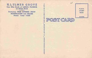 Ulmer Grove Fruit Stand Largo Florida 1940s linen postcard