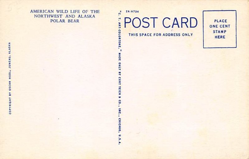 Polar Bear Alaska, USA Bear Unused 