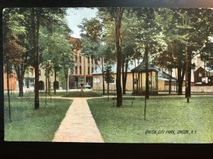 Vintage Postcard 1907-1915 Rotograph Card Oneida City Park Oneida New York