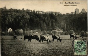 CPA La Haute-Marne - Le vieux CHAUMONT (430871)