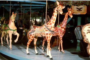 Dentzel Carousel Giraffe Meridan MS Mississippi Postcard