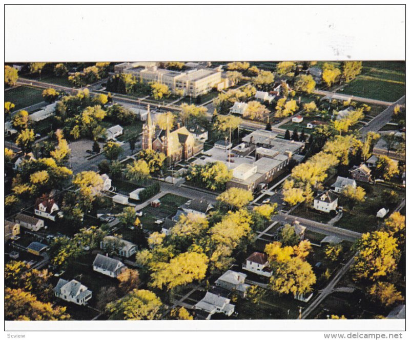 Partial Aerial Scene, HANKINSON, North Dakota, 1940-1960s