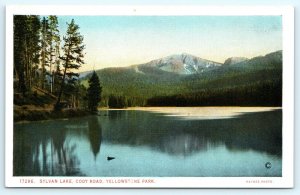 c1920s Yellowstone Sylvan Lake Haynes Photo Postcard Litho Park WY Cody Road A32