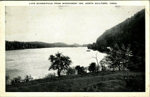 Lake Quonnipaug from the Woodcrest Inn North Guilford CT B&W Linen Postcard