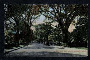 MA Early View Elm Tree Hale St BEVERLY MASS Postcard
