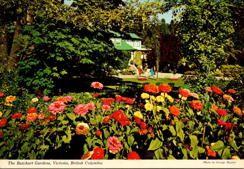 Canada Victoria The Butchart Gardens Beautiful Flowers