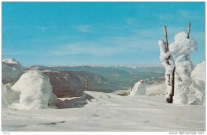 Winter's Sculpture on the summit in the East Kootenay, B.C.,  Canada,   40-60s