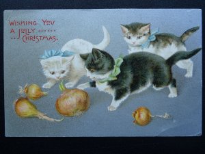 WISHING YOU A JOLLY CHRISTMAS Kittens & Onions c1905 Postcard by Wildt & Kray