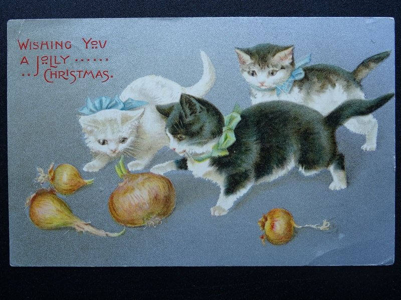 WISHING YOU A JOLLY CHRISTMAS Kittens & Onions c1905 Postcard by Wildt & Kray