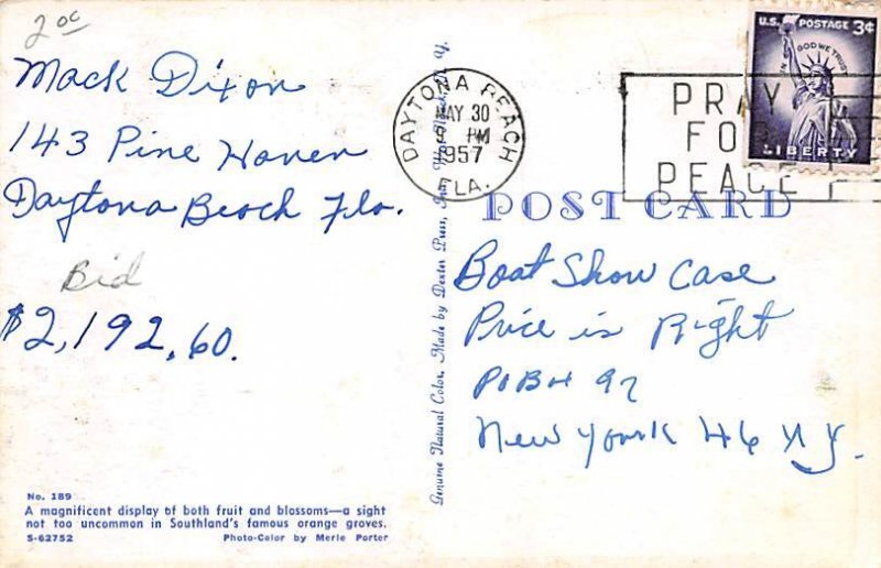 Fruit and Blossoms Florida, USA Fruit Assorted 1957 postal marking on front