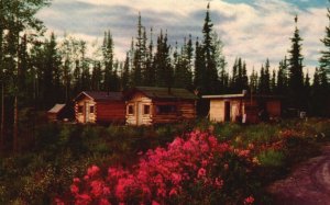 Vintage Postcard Alaska Highway Enter Great County Motor Car Canadian Boundary