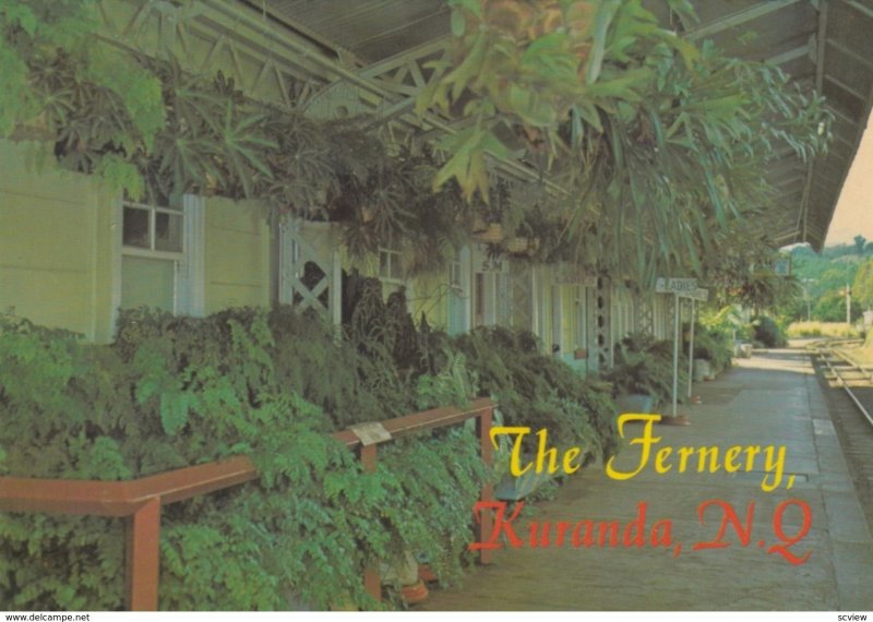 The Fernery , KURANDA . Queensland , Australia , 1970-90s