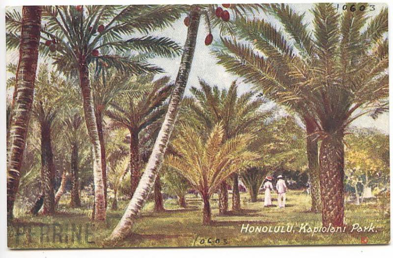 Hawaii Honolulu Kapiolani Park Raphael Tuck Postcard