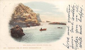 Seal Rocks Santa Catalina Island CA