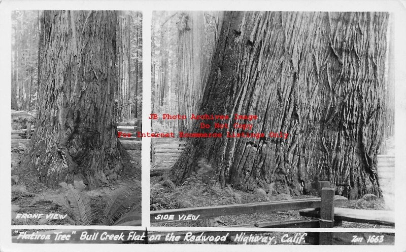 CA, Redwood Highway, California, RPPC, Flat Iron Tree, Bull Creek Flat,Zan Photo