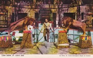 Missouri St Louis Zoo The Lion Show