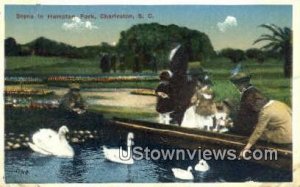 Hampton Park - Charleston, South Carolina