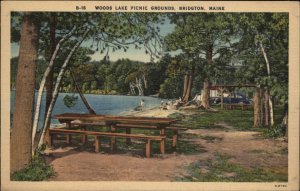 Bridgton Maine ME Woods Lake Picnic Grounds Vintage Linen Postcard