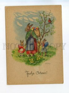 529248 Kirstein Germany family of dressed rabbits with eggs bird Old postcard