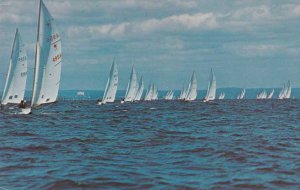 Star Sailboats in Long Island Sound, New York