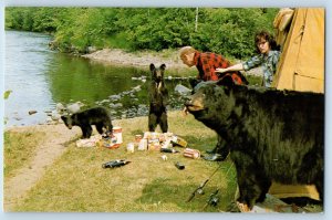 Humor Postcard Camping Bear Forget The Babies River Scene c1950's Vintage