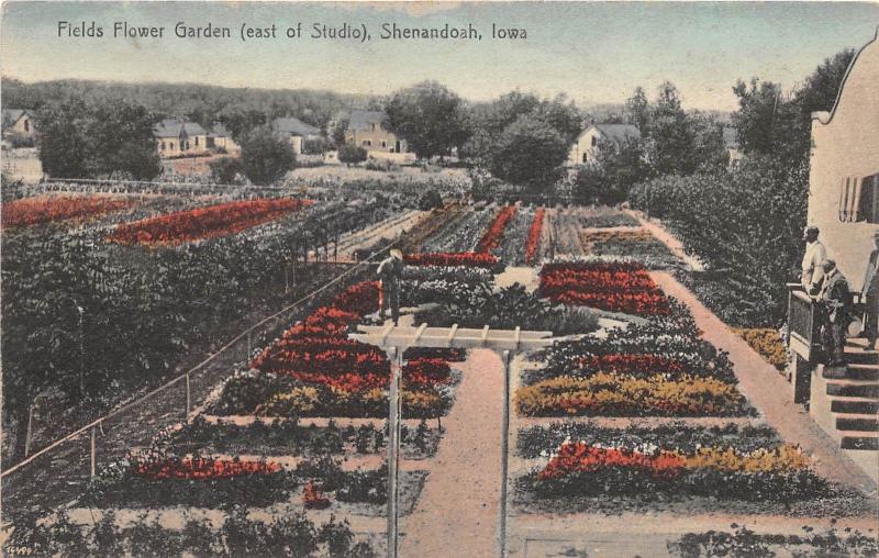 A64/ Shenandoah Iowa Ia Postcard c1910 Fields Flower Garden East of Studio