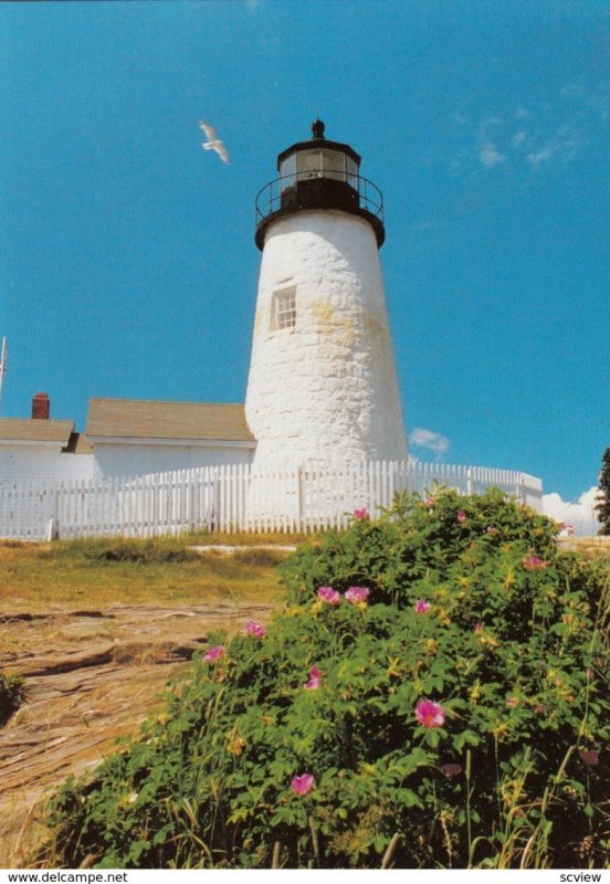 LIGHTHOUSE , Pemaquid Point , Maine , 80-90s