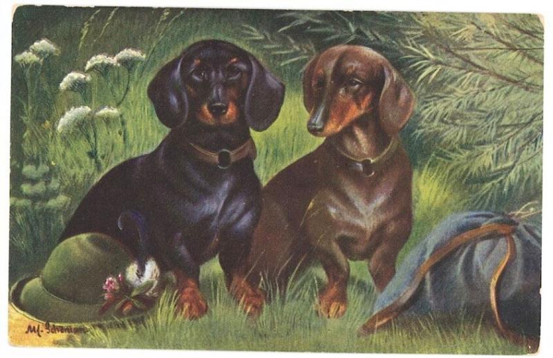 Dachshund Two Dogs Hat Duufle Bag German America Novelty Postcard