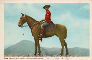 RCMP Mountie on Horse Royal Canadian Mounted Police PECO Postcard G49