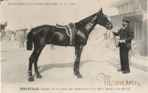 Imbleville La France Chevaline Race Horse Antique 1912 PB Postcard