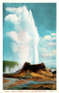 Yellowstone National Park Castle Geyser Haynes Photo