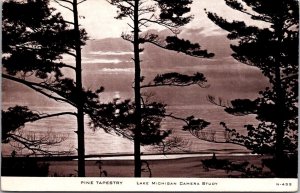 Pine Tapestry, Lake Michigan Camera Study c1955 Vintage Postcard Q53