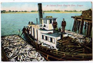 Salmon Catch, Coquille River OR