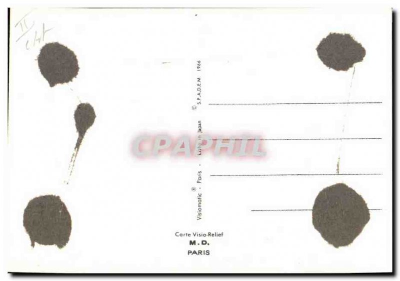 Postcard Modern Fancy Dogs (relief d?cor)