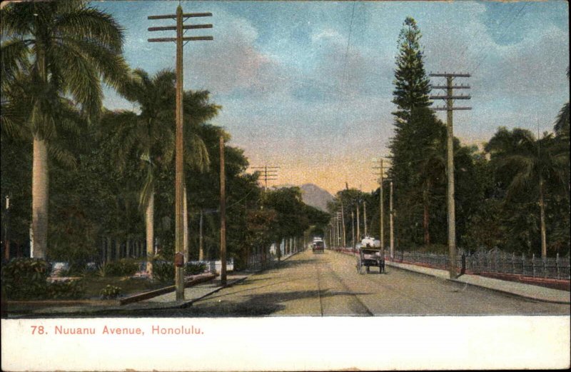 Honolulu HI Nuuanu Ave c1910 Postcard