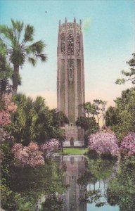 The Singing Tower Lake Wales Florida Albertype