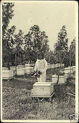 israel BOROCHOV Giv'atayim Jewish Beekeeper 30s JUDAICA