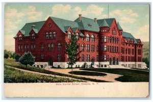 c1910 Grass View, Building of State Normal School Oneonta New York NY Postcard