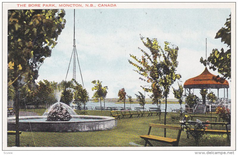 The Bore Park , MONCTON , New Brunswick , Canada , 1910s