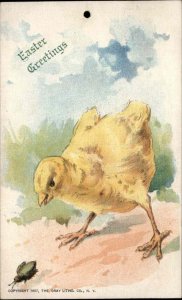 Davenport IA Tailoring Co Chick and Bug Easter Ad c1910 Vintage Postcard