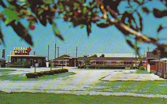 Nebraska York Buzzs Motel