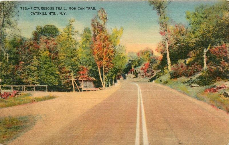 Mohican Trail Catskill Mountains NY New York pm 1948 Postcard