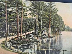 Postcard 1906 Hand Tinted View of Lynn Woods in Lynn, MA.  W8