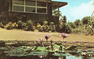 Plantation Garden Koloa Poipu Beach South Shore Kauai Hawaii Vintage Postcard