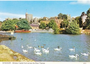 Berkshire Postcard - Windsor Castle from Across The River Thames - Windsor SM234