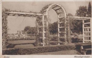 Siofok Rozsaliget Trellace Gate Reszlet Antique Hungary Hungarian Postcard