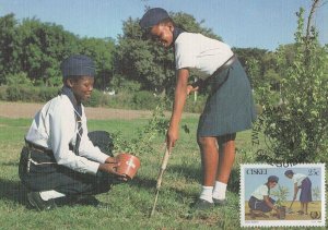 Zwelitsha Girl Guides Scouting African First Day Cover Postcard