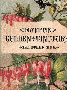 1880's Olympian Golden Tincture Lovely Insect Bug Quack Medicine Trade Card P5