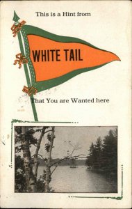 White Tail Pennant Greeting Westby Montana Cancel c1915 Postcard